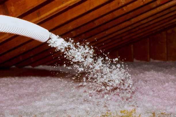 Best Insulation Installation Services in Lemon Hill, CA