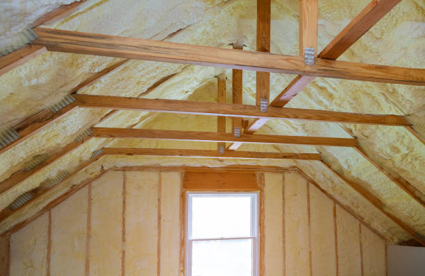 Best Specialty Insulation in Lemon Hill, CA
