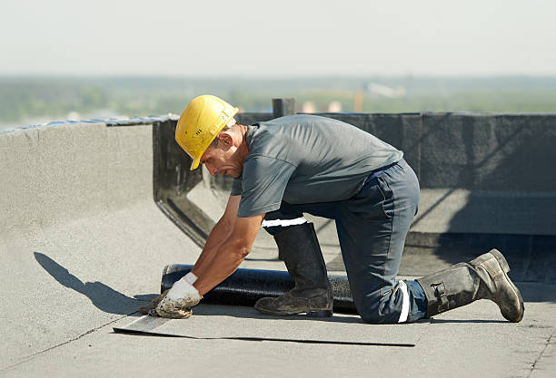 Best Insulation Maintenance and Repair in Lemon Hill, CA