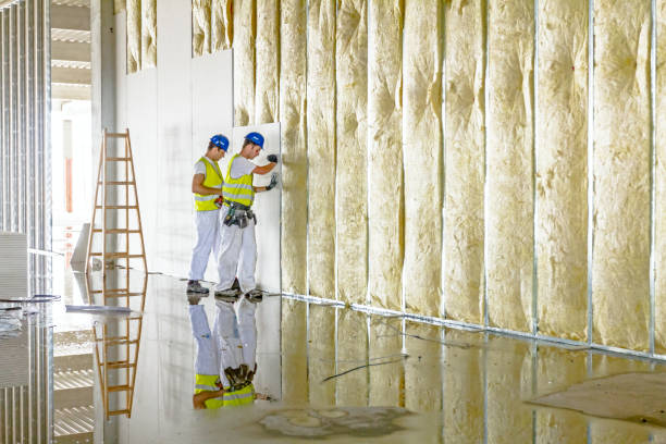 Best Energy Efficiency Solutions in Lemon Hill, CA
